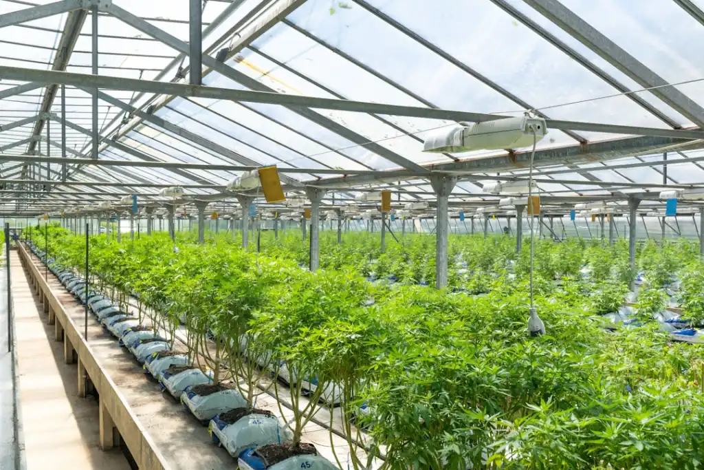 甘肃智慧农业传感器选型指南:土壤墒情监测与气象站配置要点正文配图 2